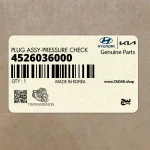 پيچ (4526036000) کیا