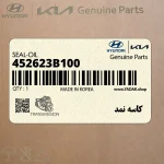 كاسه نمد (452623B100) کیا