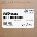 رينگ آب بندي (4529539020) کیا