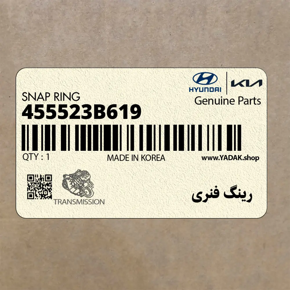 رينگ فنري (455523B619) کیا