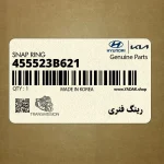 رينگ فنري (455523B621) کیا