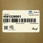 اورينگ (456123B001) کیا