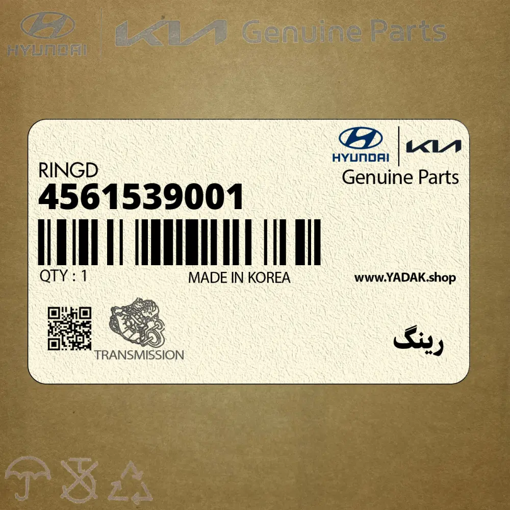 رينگ (4561539001) کیا