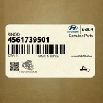 رينگ (4561739501) کیا