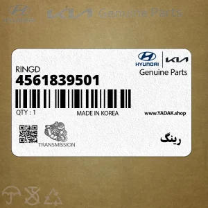 رينگ (4561839501) کیا رينگ (4561839501) کیا