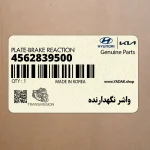 واشر نگهدارنده (4562839500) کیا