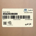 خار فنري (456393B600) کیا