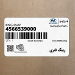رينگ فنري (4566539000) کیا