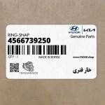 خار فنري (4566739250) کیا