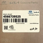 خار فنري (4566739525) کیا