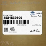 رينگ فنري (4581839500) کیا