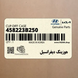 هوزينگ ديفرانسيل (458223B250) کیا