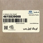 اورينگ اويل پمپ (4615839000) کیا