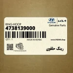رينگ حلقوي (4738139000) کیا