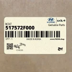 پيچ (517572F000) کیا