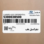 ديفرانسيل عقب (530003B500) کیا