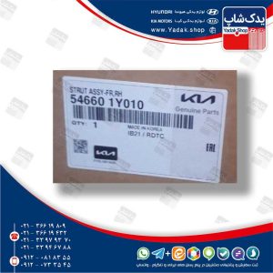 كمك فنر جلو راست (546601Y010) پیکانتو