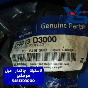لاستيك چاكدار ميل موجگير (54813D3000) کیا
