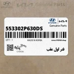 فنر لول عقب (553302P630-DS) کیا