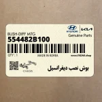 بوش نصب ديفرانسيل (554482B100) کیا