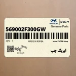 ايربگ چپ (569002F300GW) کیا