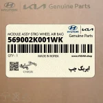 ايربگ چپ (569002K001WK) کیا