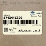 فنر پمپ روغن هيدروليك (571341C300) کیا