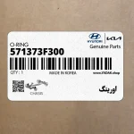 اورينگ (571373F300) کیا