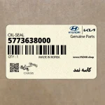 كاسه نمد (5773638000) کیا