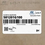 پيچ (581201G100) کیا