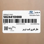 خار فنري لنت ترمز (582441D000) کیا