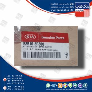 مجموعه مخزن و سيلندر ترمز (585103F300) اپیروس