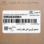 سنسور اي بي اس عقب راست (599303V001) کیا