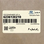 رام شماره 6 (623613E210) کیا