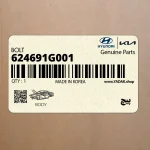 پيچ (624691G001) کیا