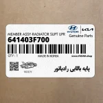پايه بالايي رادياتور (641403F700) کیا
