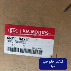 گلگیر جلو چپ کیا