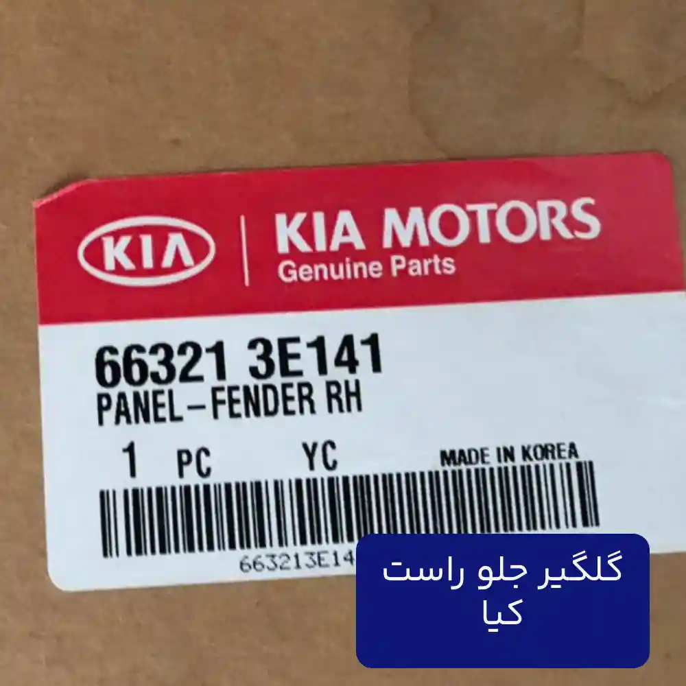 گلگير جلو راست (663213E141) کیا