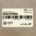 گلگير جلو راست (66321D4000) کیا