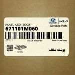پوسته سقف (671101M060) کیا