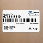 پوسته سقف (671111F110) کیا