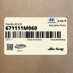 پوسته سقف (671111M060) کیا