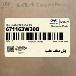 پنل سقف عقب (671163W300) کیا