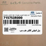 پنل انتهايي گلگير عقب چپ (715753R000) کیا