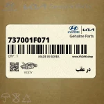 در عقب (737001F071) کیا