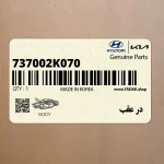 در عقب (737002K070) کیا