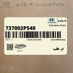 در عقب (737002P540) کیا