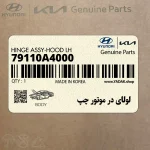 لولاي در موتور چپ (79110A4000) کیا