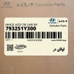 لولاي در (793251Y300) کیا