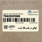 لولاي در عقب بالا راست (794203F000) کیا